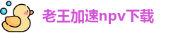 老王加速npv下载